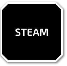 STEAM